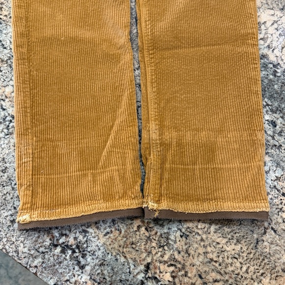 American Eagle Outfitters Tan Corduroy Pants - Picture 9 of 9